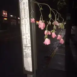 背景图有些事情懒得说你能懂几分是几分
