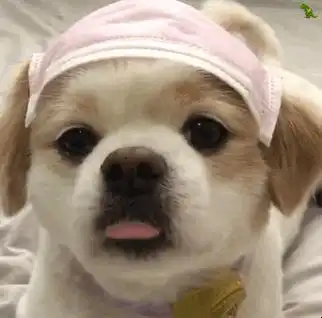 那个叁和悠昀er进来一下
