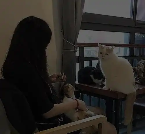 ins黑色系女头
