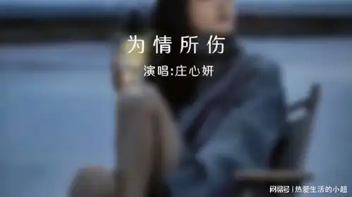 心酸纵有千百种,沉默不语最难过,后来我没有打扰你
