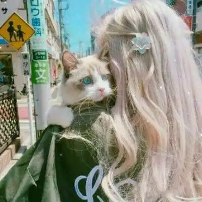 猫猫女生头像吸猫人士猫咪
