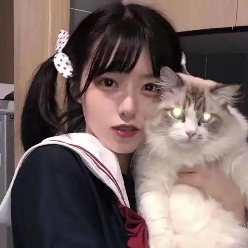 当发情的公猫遇到另一只公猫,场面失控了
