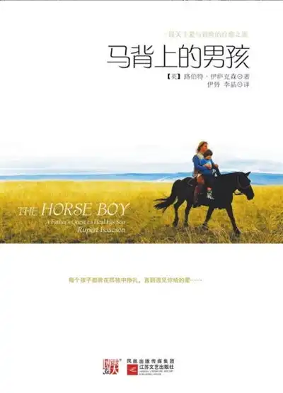 马背上的男孩
