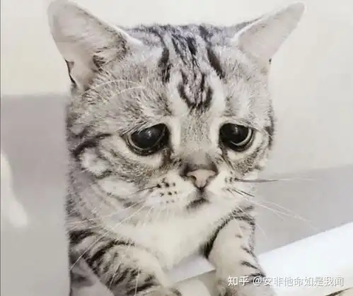 到了游乐场,孩子撒泼打滚的要玩,父母却觉得花钱不值得,这个时候有什么好的方法教育孩子
